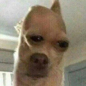 Meet your Posher, Ed